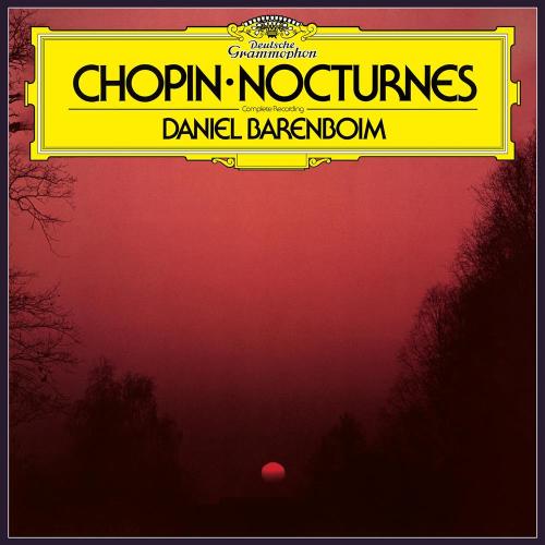 Chopin: Notturni