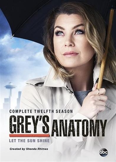 Grey'S Anatomy: The Complete Twelfth Season [Edizione in lingua inglese]